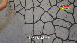 Виды декоративных штукатурок